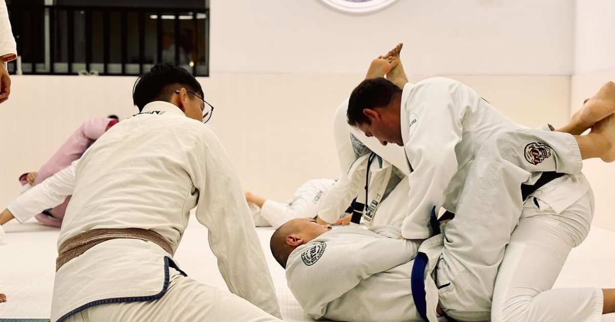 White Belt to Black Belt in BJJ Melbourne
