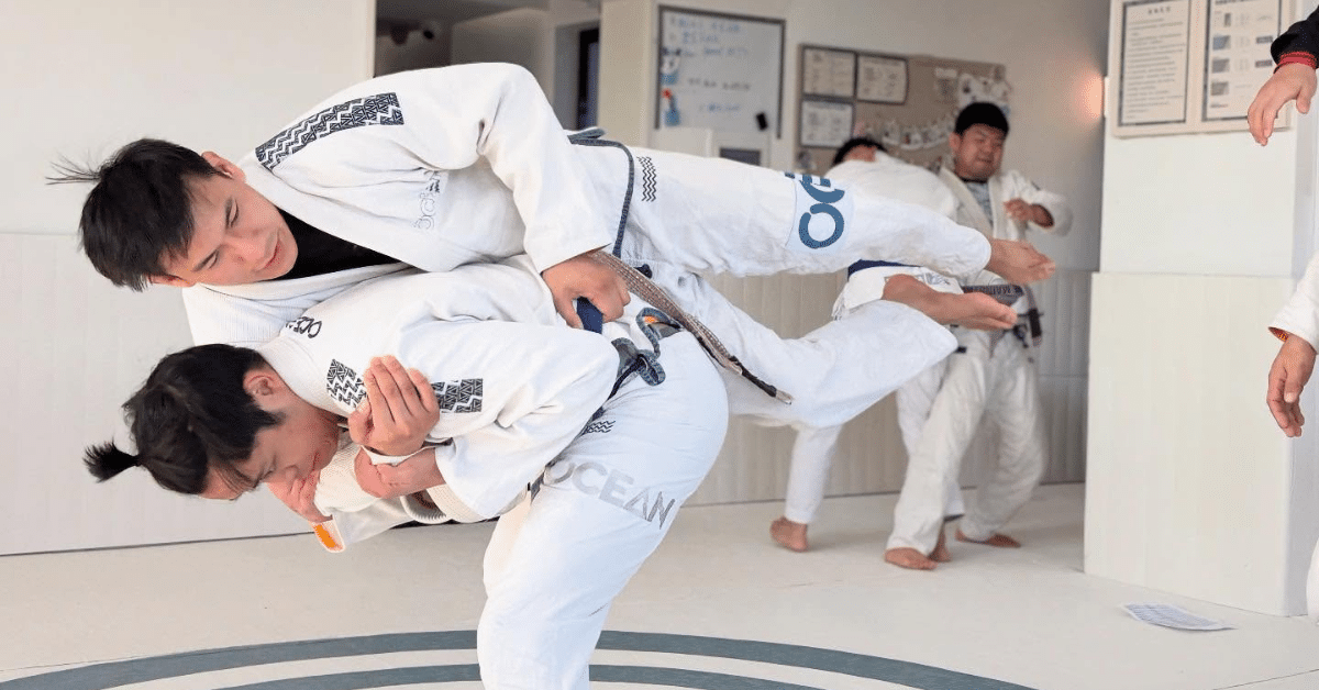 Jiu-Jitsu for Professionals